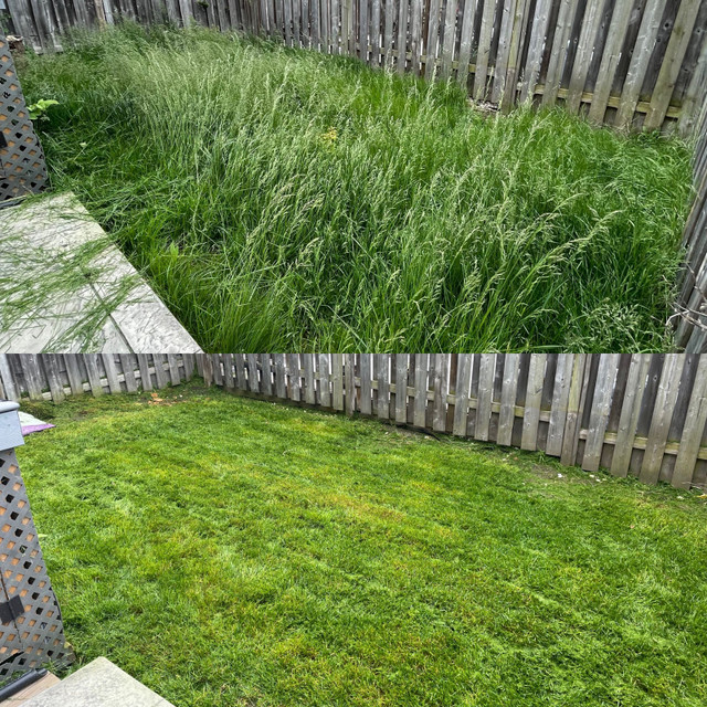 Lawn Maintenance/ Grass Cutting starting as low as $35 weekly in Lawn, Tree Maintenance & Eavestrough in Oshawa / Durham Region - Image 4
