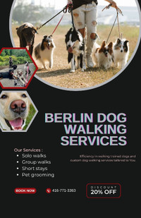 Berlins Dog Walking Services