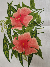 Vintage Bagshaws of St. Lucia Studio Place Mats