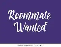 Looking for roommate preferably female 