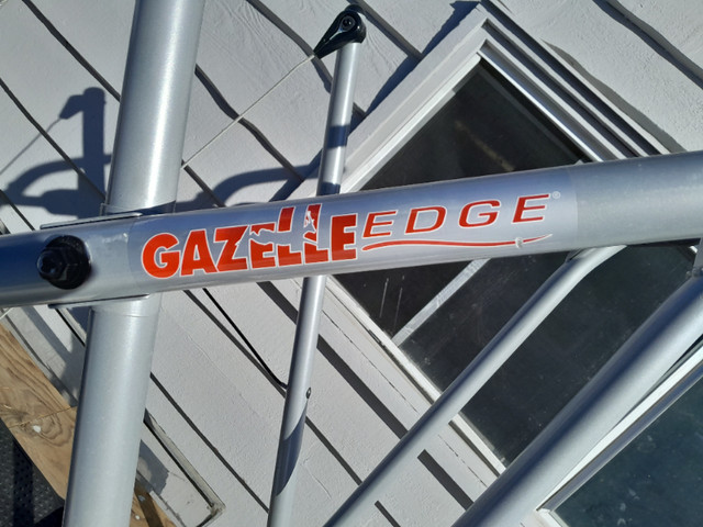exercise equipment. ( gazelle edge) in Exercise Equipment in Calgary - Image 2