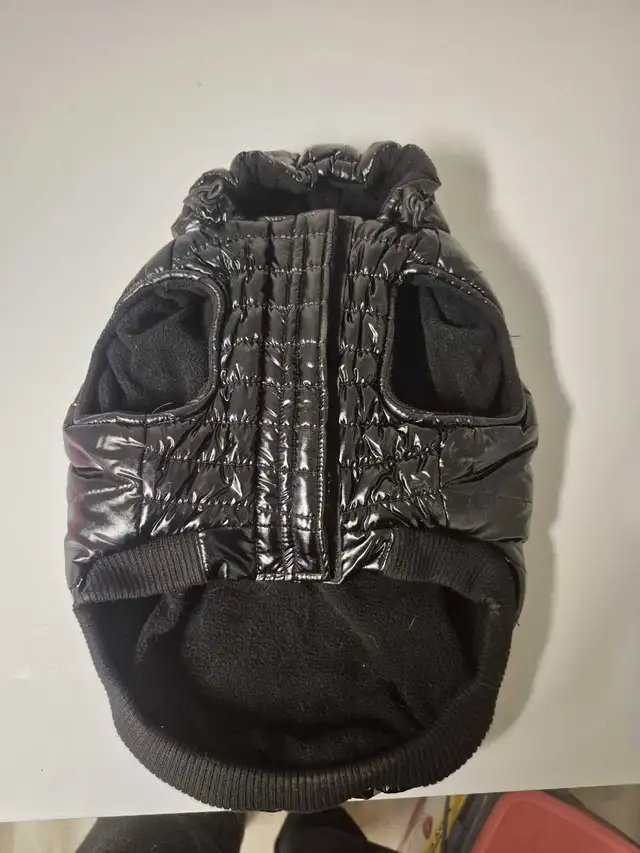 Dog Puffer Coat in Accessories in Ottawa - Image 3