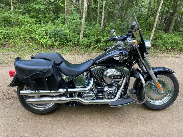 2016 Harley Davidson FATBOY in Street, Cruisers & Choppers in Edmonton - Image 4