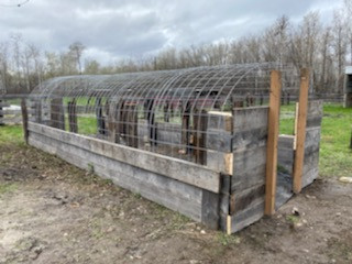 WELDED WIRE MESH PANELS for CATTLE/SHEEP/GOATS/HOGS/CHICKENS ETC in Other in Calgary - Image 4