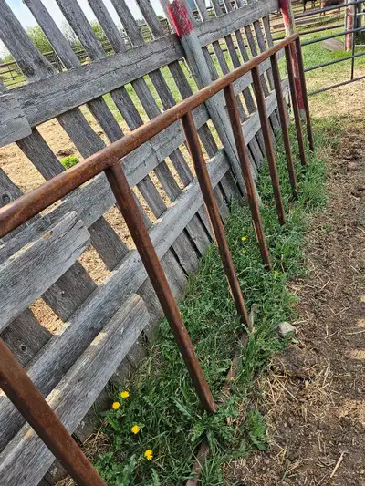 5 - 10 ft 6 bar panels very well built 200.00Ea. 11 ft creep panel 350.00