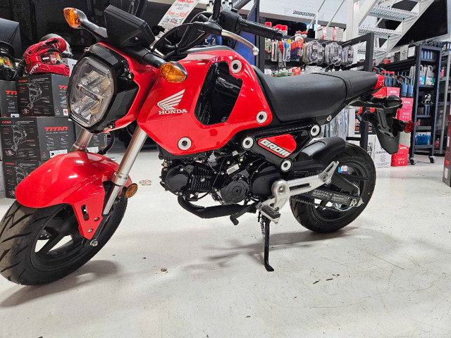 Honda Grom 125cc dans Scooters et minimotos  à Saint-Jean-sur-Richelieu - Image 4