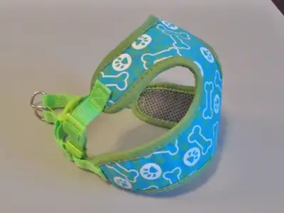Dog harness, View more