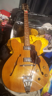 Rare Hollow Body Guitar