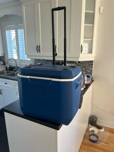 glacière Coleman et ses ice block , View more