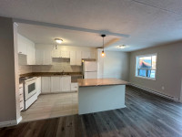 Newly Renovated 2 Bedroom Apartment Simcoe