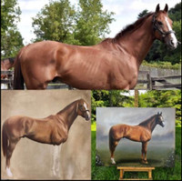 Horse Portrait Paintings