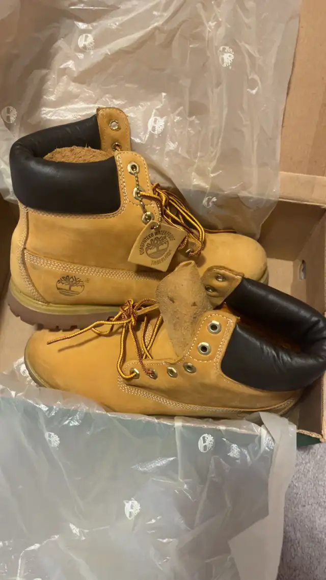 Timberland boots  in Men's Shoes in Mississauga / Peel Region - Image 3