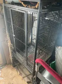 Perrot Cage with play structure