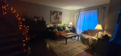 A spacious 14' × 14' upstairs bedroom is available immediately in a clean, well-maintained family ho...