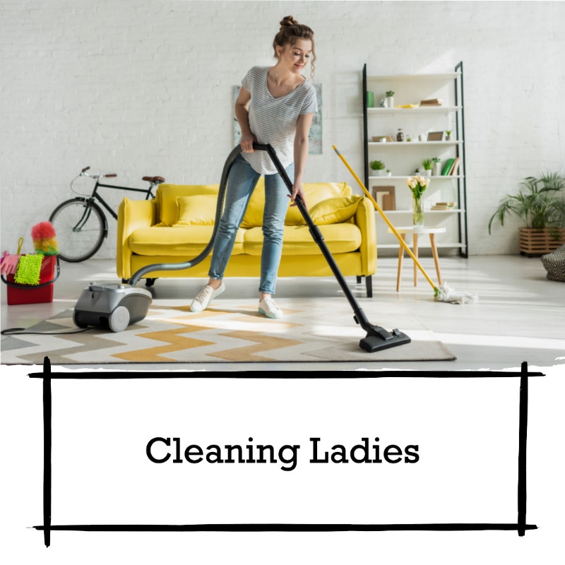 Cleaning Services in Brampton, Woodbridge and Vaughan. Cleaners & Cleaning Mississauga