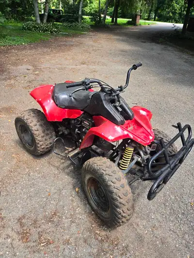 Runs, drives, stops perfectly. Not a single issue. Engine starts first pull and has been reliable fo...