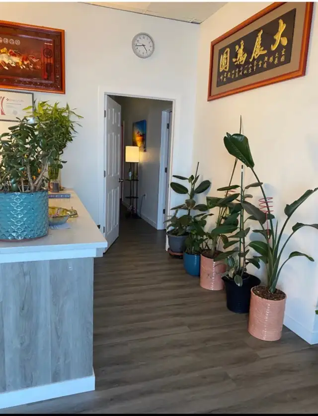 New Style Spa Massage63654774034945122