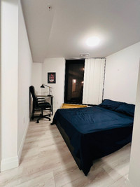 Furnished One Bedroom for Rent-15 Minute Walk To Campus!