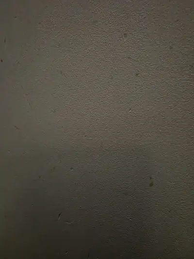 Single employed female with 2 fixed cats looking for an apartment with parking for March 1st. Would...