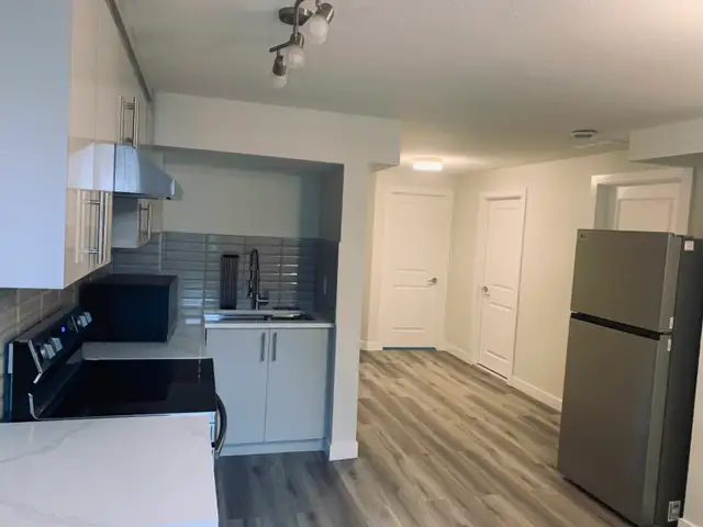 Exclusive 1-bedroom flat basement for rent in Redstone Area