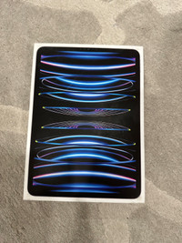 BEST DEAL Apple M2 iPad Pro 11" 256GB WiFi SILVER/BLACK