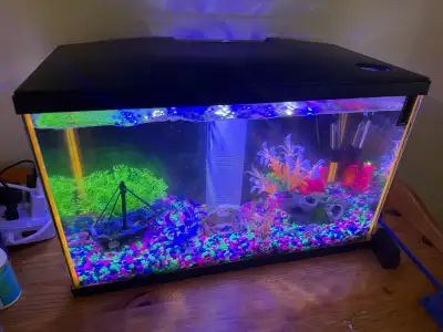Marina iglow 20G Aquarium. Pas de poisson viens avec tous 2 filt, View more