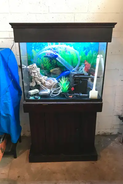 Great condition aquarium (30" L x 13" W x 23"H), no leaks or cracks, comes with custom-made solid wo...