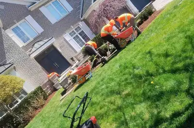 Now hiring! landscaping position, View more