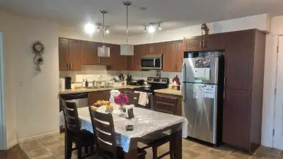 rent an apartment