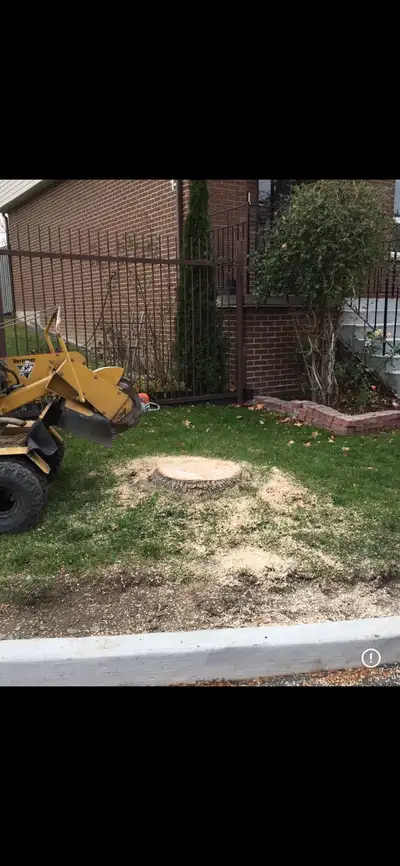 Stump Removal Service, View more