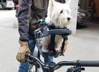 BuddyRider bike pet seat / dog seat