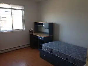 Chambre à louer dans un logement propre, calme et bien entretenu. Environnement non-fumeur et tranqu...
