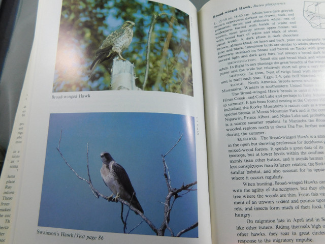 The Birds of Alberta by W Ray Salt/Jim R Salt HC Book in Non-fiction in Lethbridge - Image 3