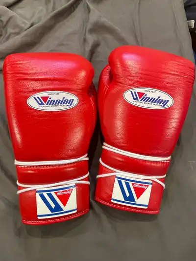 winning boxing gloves, View more