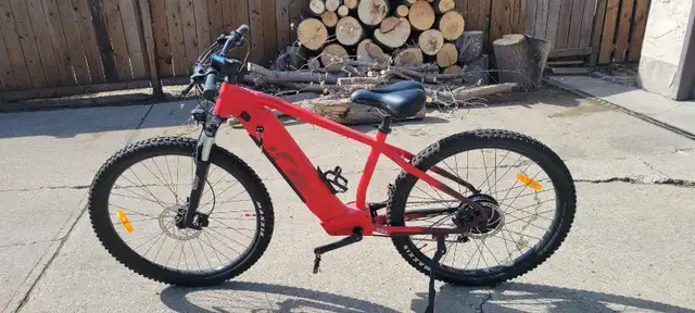 OUTLAND LAURENTIAN 
E-BIKE in eBike in St. Albert - Image 2