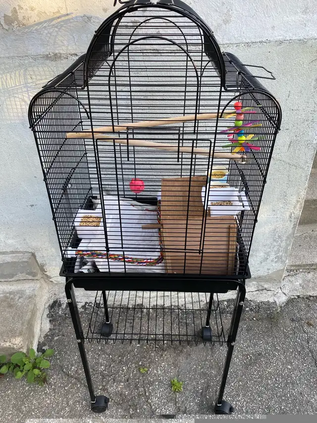 new full cage in Birds for Rehoming in City of Toronto - Image 3