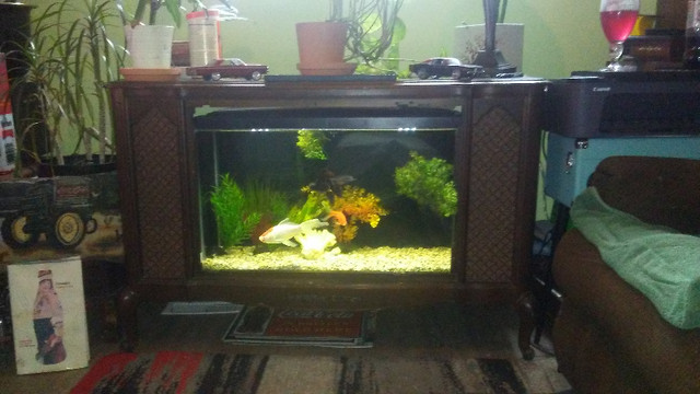 television aquarium in Accessories in Belleville - Image 2