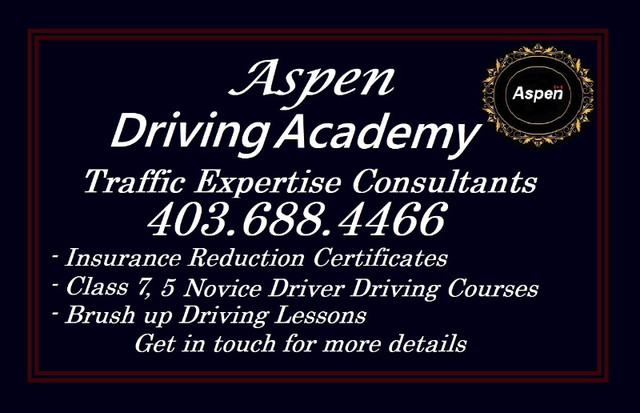 Class 7, 5 Driving Lessons by Professional Driving Instructors in Tutors & Languages in Calgary