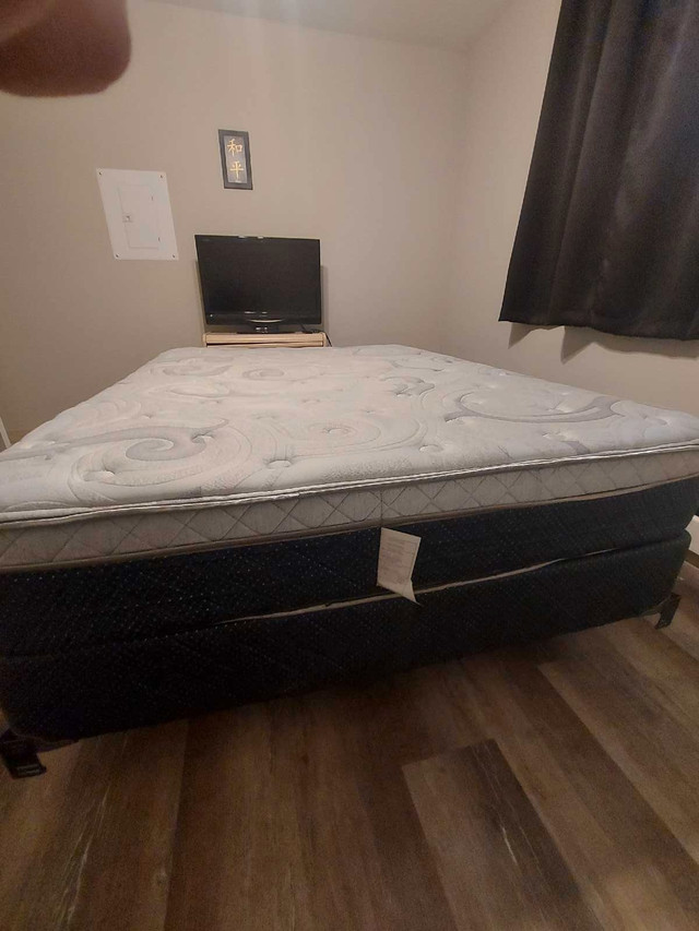 Queen size bed and box spring in Beds & Mattresses in Thunder Bay - Image 2