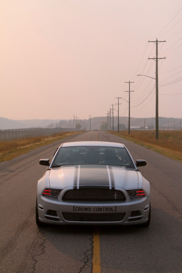 2014 Mustang Premium Tuned in Cars & Trucks in Calgary - Image 4