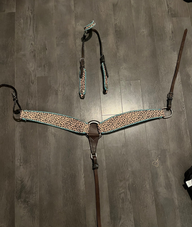 Teal/Leopard print saddle, headstall and breast collar  in Other in Saint John - Image 2