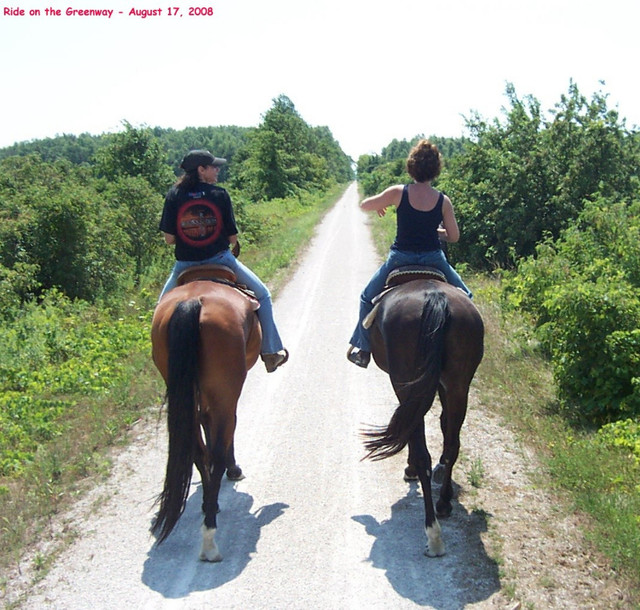 Horse for part board lease in Horses & Ponies for Rehoming in Windsor Region - Image 2