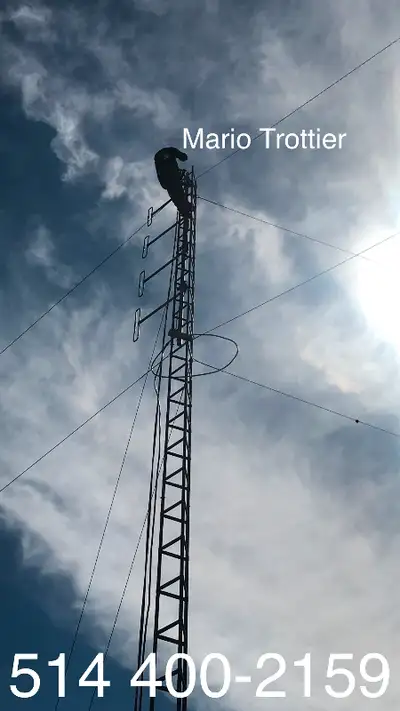 ANTENNA & SATELLITE REMOVAL (514) 400-2159, View more