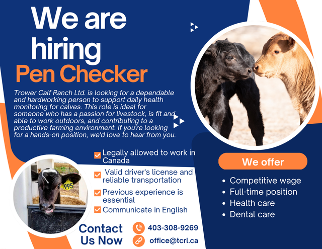 We are hiring
