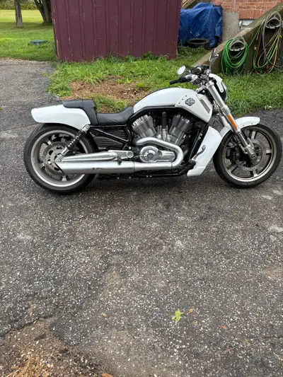 Great condition looks sounds runs drives great no check engine lights on everything works couple scr...