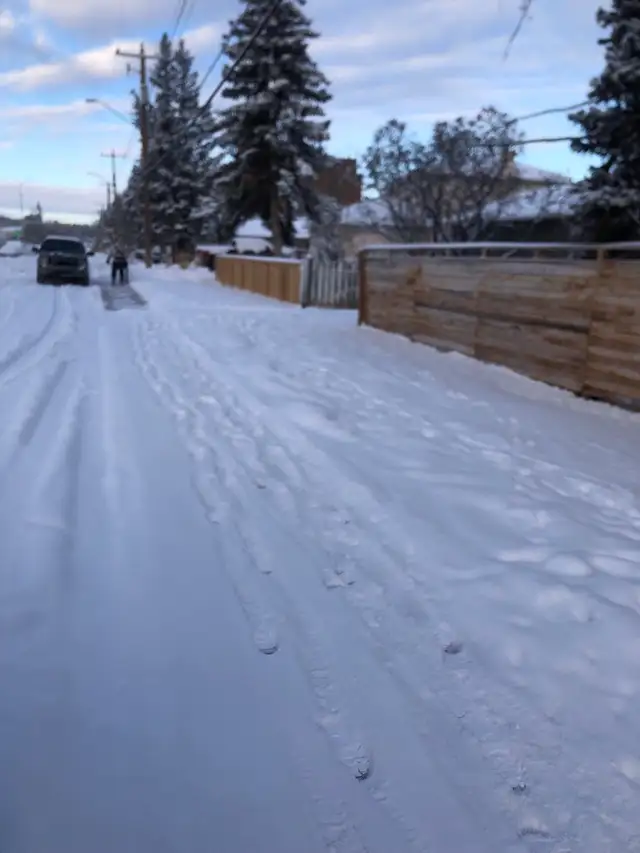 PROFESSIONAL FALL CLEANUP & SNOW REMOVAL 600046539920517126
