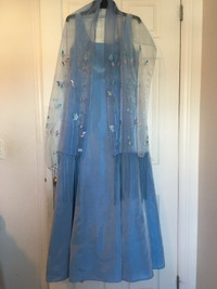 Long Bridesmaids or Prom Dresses size 6 and 10