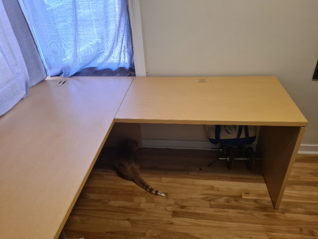 Desk (L Shaped) in Desks in Calgary - Image 3