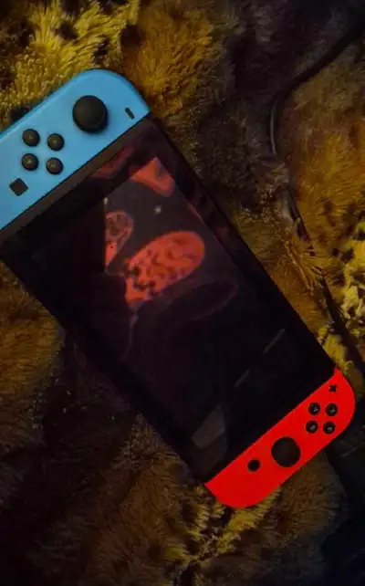 Nintendo Switch Console, View more