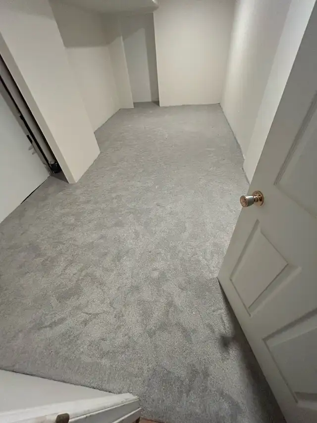 Expert Carpet Installation 64840206016001125